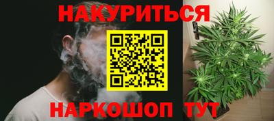 индика Нальчик