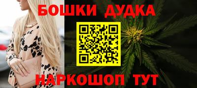 индика Нальчик